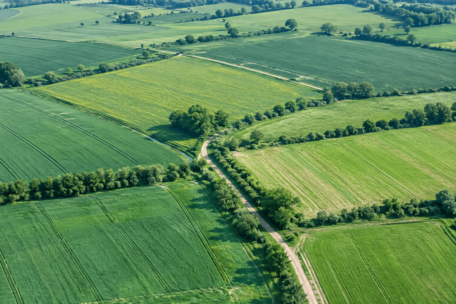 An aerial view of green agricultural fields divided by hedgerows and a winding track.